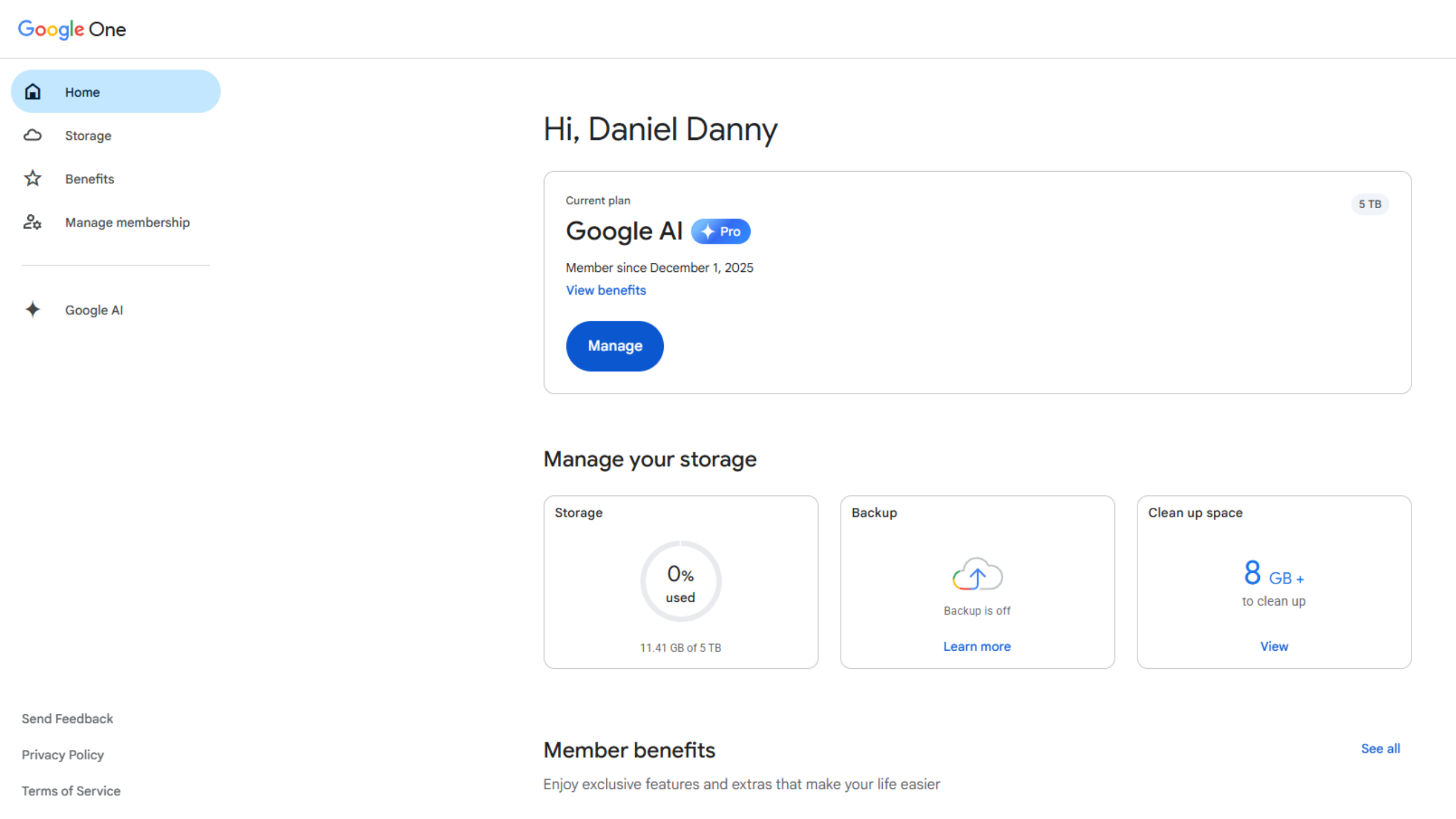 Gemini Advanced screenshot 1